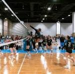 Highland Park Lady Scots Volleyball Logo